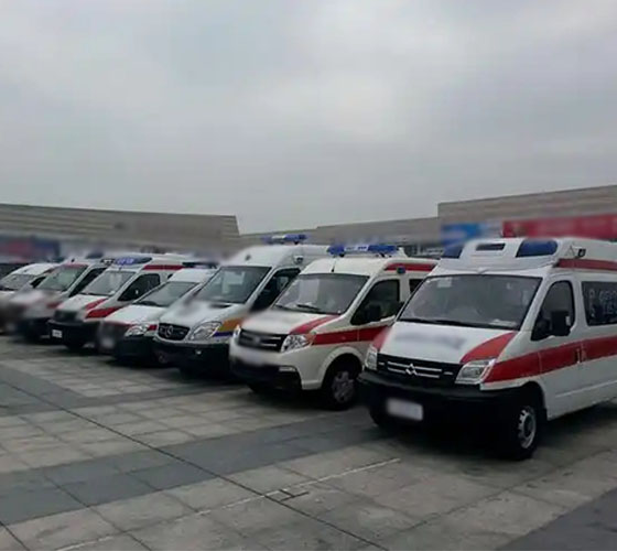 临洮县服务车队展示